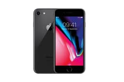Apple iPhone 8 (256 GB)