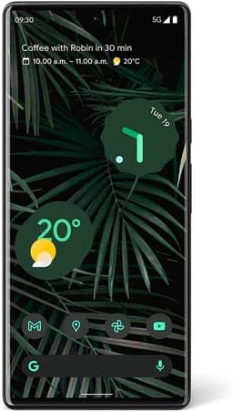 Google Pixel 6 Pro (128 GB)