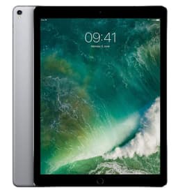 Apple iPad Pro 12.9" (256 GB)