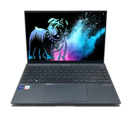 ASUS ZenBook 14X 14" (32 GB, 1 TB SSD, i9-12900H)
