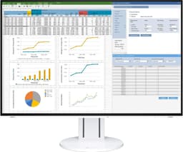 Eizo FlexScan EV2457-WT 24.1"