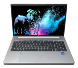 HP ProBook 650 15" (8 GB, 256 GB SSD, i5-1135G7)