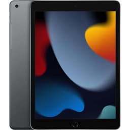Apple iPad 10.2" (256 GB)