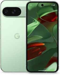 Google Pixel 9 (256 GB)