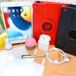 Apple iPad mini 7.9" (16 GB)
