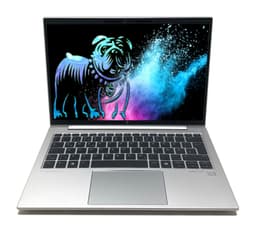 HP EliteBook 835 13" (16 GB, 256 GB SSD, Ryzen 5 8540U)