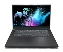 XMG Focus 17 17" (32 GB, 1 TB SSD, i9-13900HX)