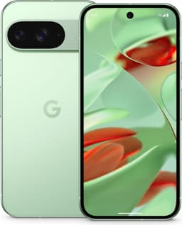 Google Pixel 9 (256 GB)