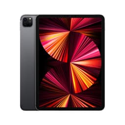 Apple iPad Pro 11" (256 GB)