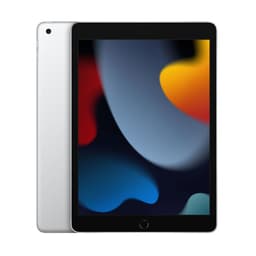 Apple iPad 10.2" (256 GB)