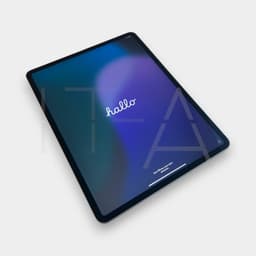 Apple iPad Pro 12.9" (256 GB)