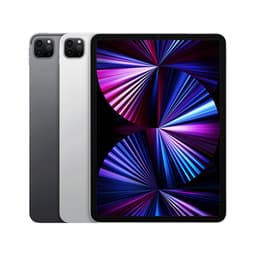 Apple iPad Pro 11" (256 GB)