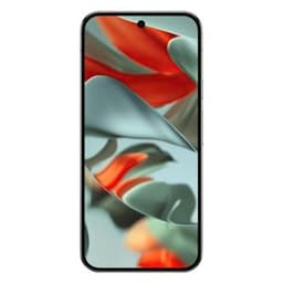 Google Pixel 9 Pro XL (256 GB)
