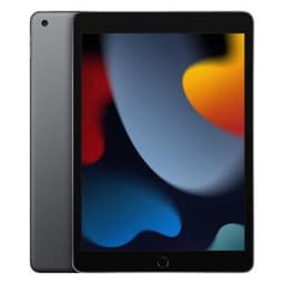 Apple iPad 10.2" (256 GB)