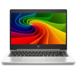 HP ProBook 445 (8 GB, 256 GB SSD, Ryzen 5)