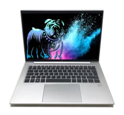 HP EliteBook 845 14" (32 GB, 1 TB SSD, Ryzen 9 6950HS)