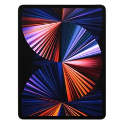 Apple iPad Pro 12.9" (256 GB)