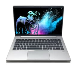 HP ProBook 445 14" (16 GB, 512 GB SSD, Ryzen 5 5625U)