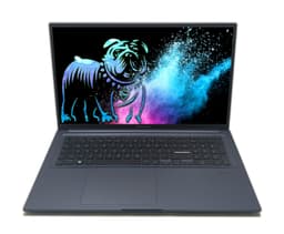 ASUS VivoBook 17X 17" (16 GB, 1 TB SSD, i9-13900H)