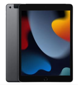 Apple iPad 10.2" (256 GB)