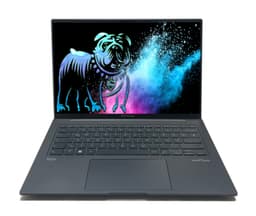 ASUS ZenBook 14X 14" (16 GB, 1 TB SSD, i9-13900H)