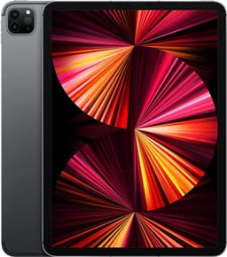 Apple iPad Pro 11" (256 GB)