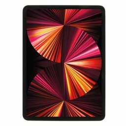 Apple iPad Pro 11" (256 GB)