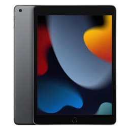Apple iPad 10.2" (256 GB)