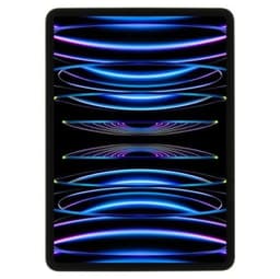 Apple iPad Pro 11" (256 GB)