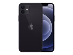 Apple iPhone 12 (256 GB)