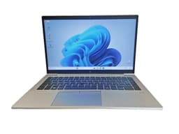 HP Elitebook 845 (16 GB, 256 GB SSD, Ryzen 5 4650U)