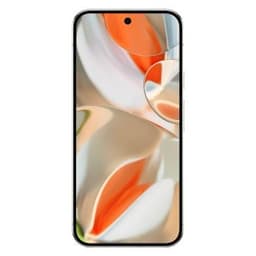 Google Pixel 9 Pro XL (256 GB)