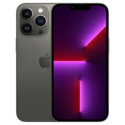 Apple iPhone 13 Pro (256 GB)