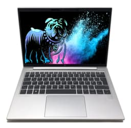 HP EliteBook 835 13" (16 GB, 512 GB SSD, Ryzen 5)