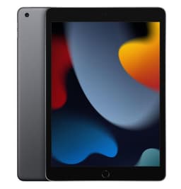 Apple iPad 10.2" (256 GB)