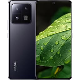 Xiaomi 13 Pro (256 GB)