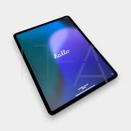 Apple iPad Pro 12.9" (256 GB)