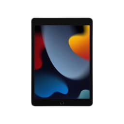 Apple iPad 10.2" (256 GB)