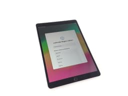 Apple iPad Pro 10.5" (256 GB)