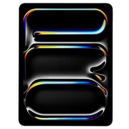 Apple iPad Pro 13" (256 GB)